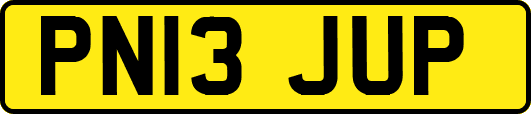 PN13JUP