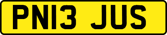 PN13JUS