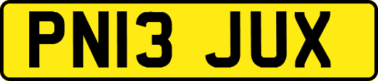 PN13JUX