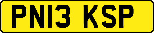 PN13KSP