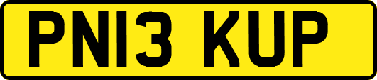 PN13KUP