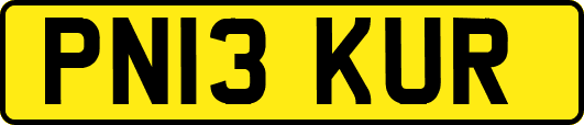 PN13KUR