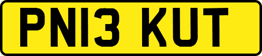 PN13KUT