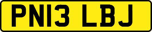 PN13LBJ