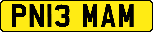 PN13MAM