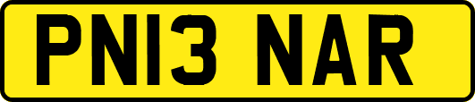 PN13NAR