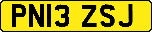 PN13ZSJ