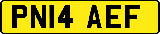 PN14AEF