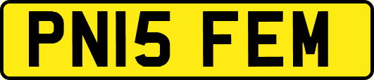 PN15FEM