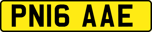 PN16AAE