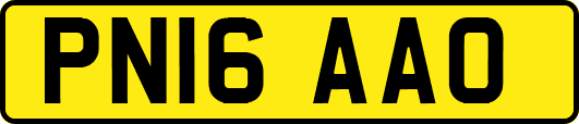 PN16AAO