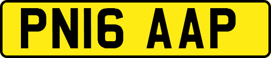 PN16AAP