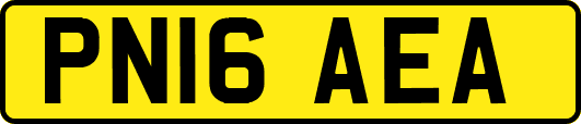 PN16AEA
