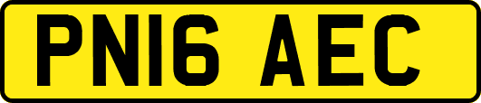 PN16AEC