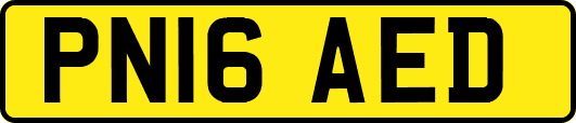 PN16AED