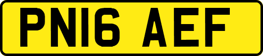 PN16AEF