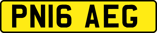 PN16AEG