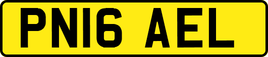 PN16AEL