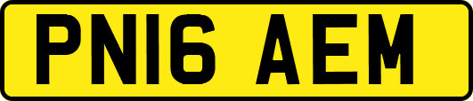 PN16AEM
