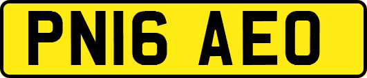PN16AEO