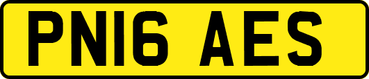 PN16AES