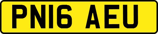 PN16AEU
