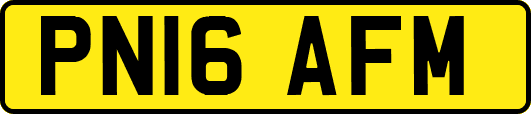 PN16AFM