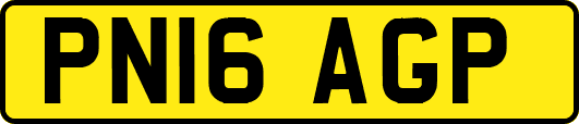 PN16AGP