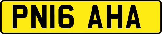 PN16AHA