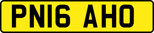 PN16AHO