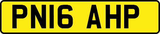 PN16AHP