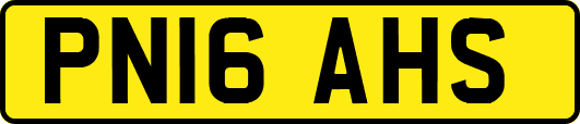 PN16AHS