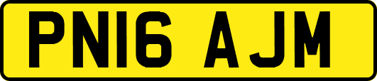 PN16AJM