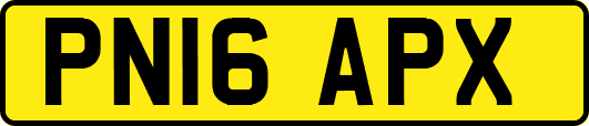 PN16APX