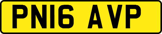 PN16AVP