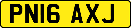 PN16AXJ