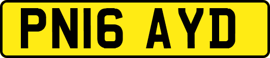 PN16AYD