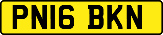 PN16BKN