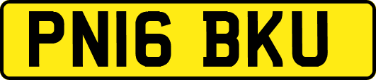PN16BKU