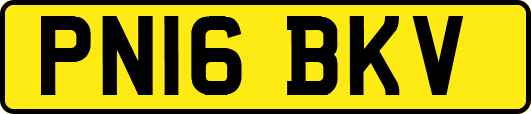 PN16BKV