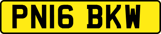PN16BKW