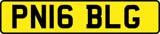 PN16BLG