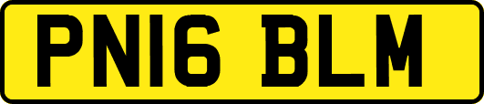 PN16BLM