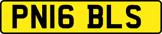 PN16BLS