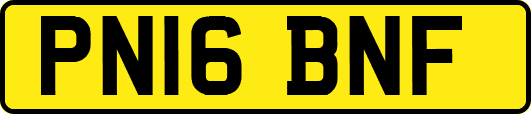 PN16BNF