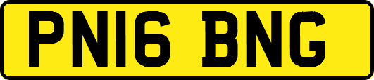 PN16BNG