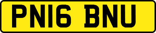 PN16BNU
