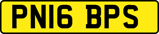 PN16BPS