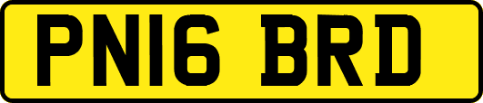 PN16BRD