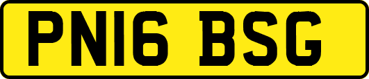 PN16BSG